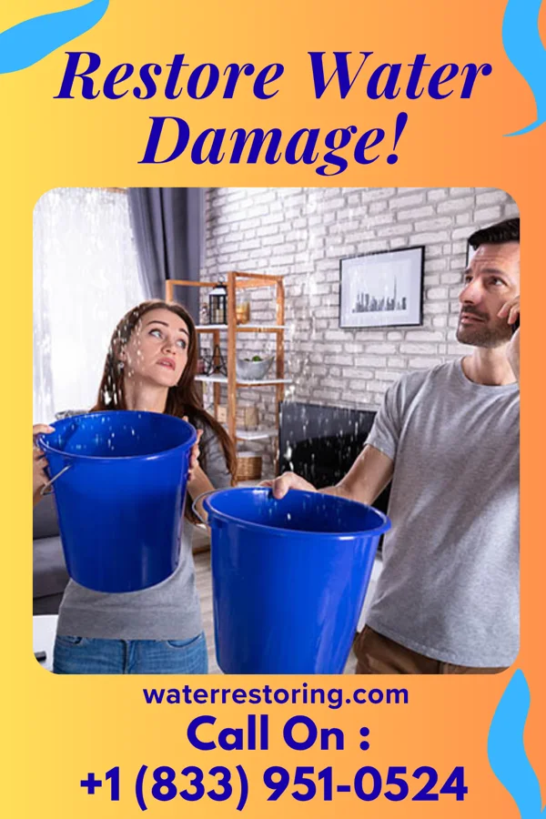 water restoration Pro Restoration Idylwood