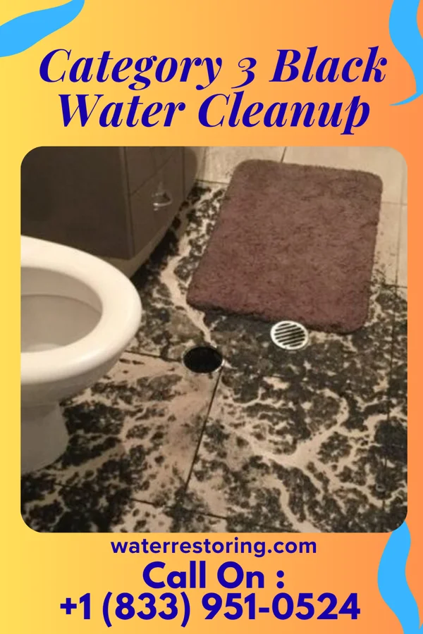 Category 3 Black Water Cleanup in Idylwood, VA