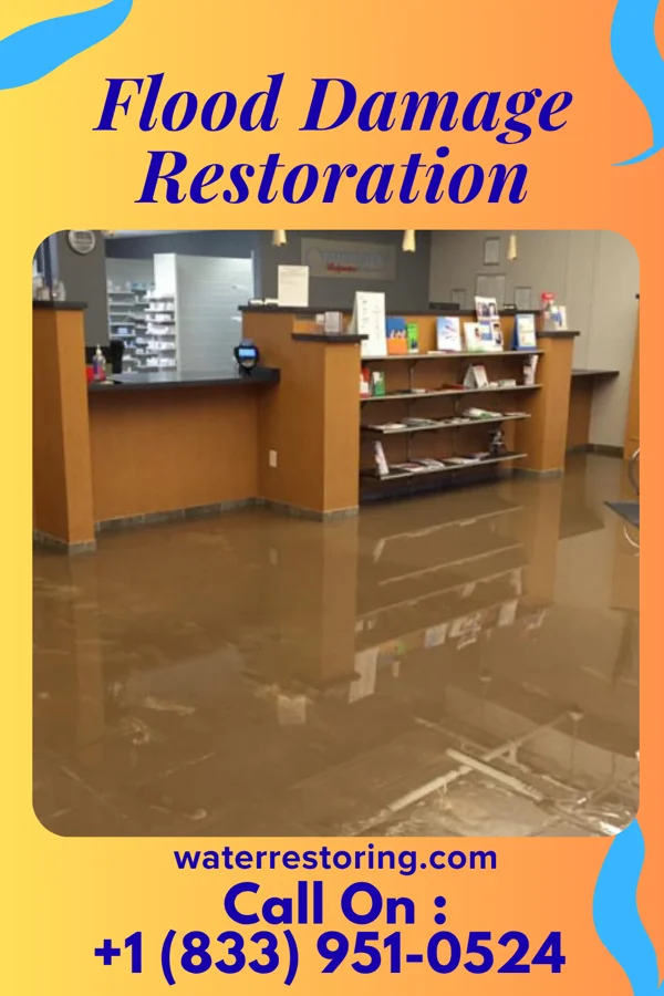 Flood Damage Restoration in Idylwood, VA