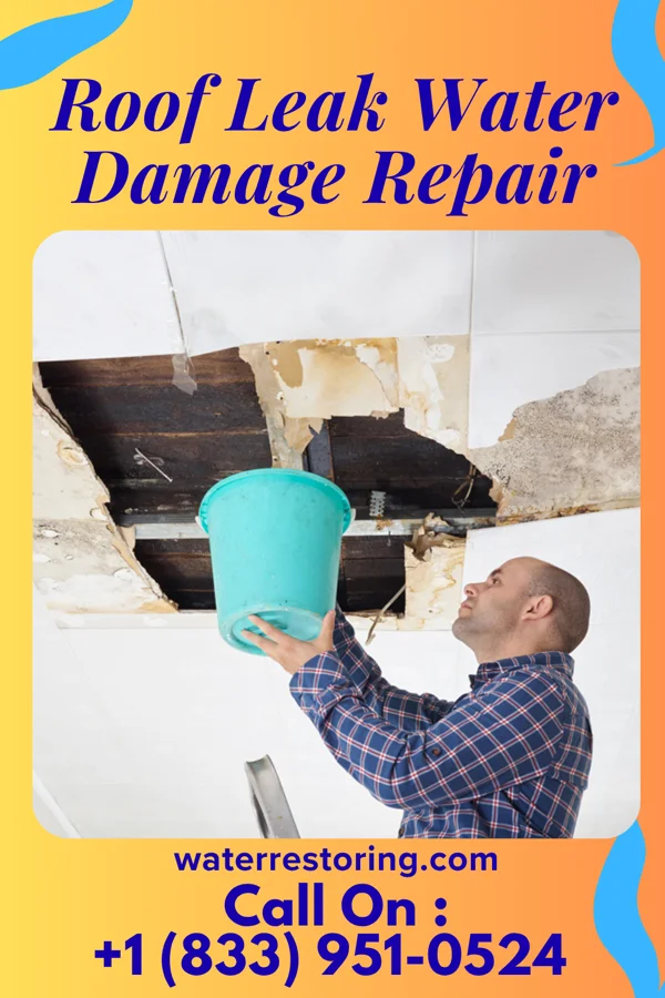 Roof Leak Water Damage Repair in Idylwood, VA