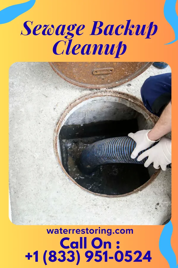 Sewage Backup Cleanup in Idylwood, VA