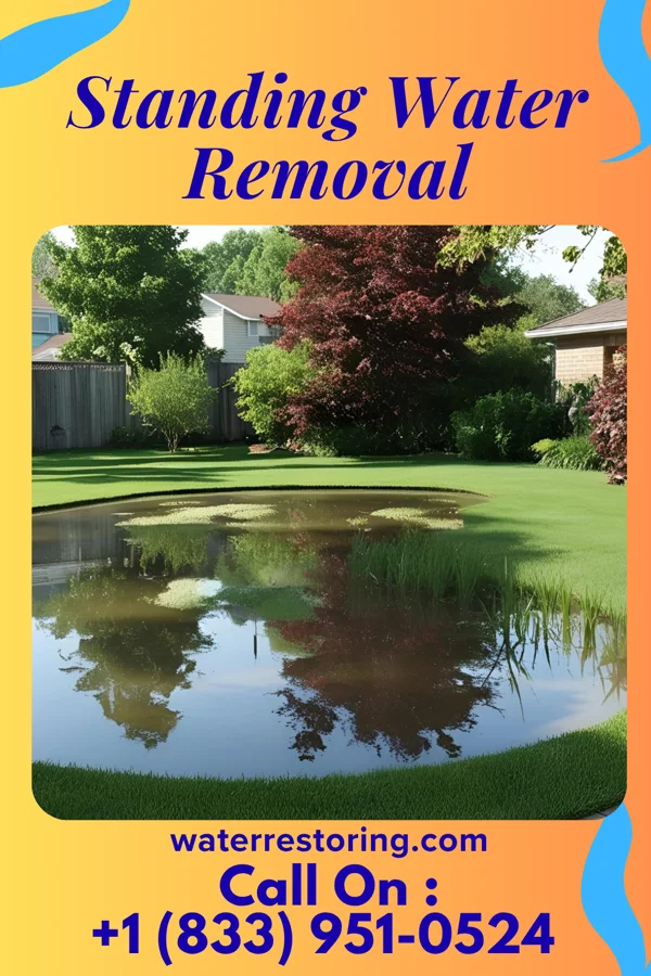 Standing Water Removal in Idylwood, VA